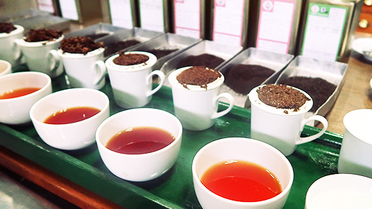 テイスティング イメージ