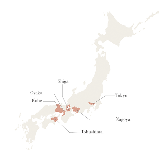 MlesnA Echelon The tee